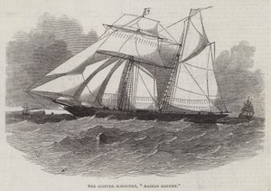 Clipper Schooner, Marin Zagury